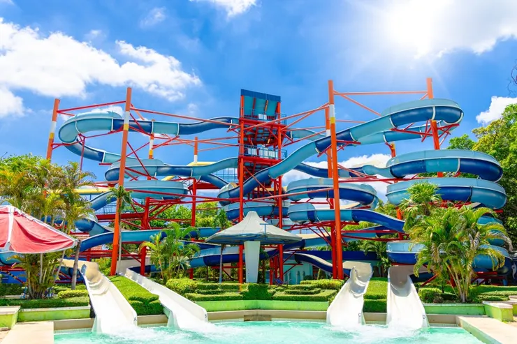 Source：Shutterstock