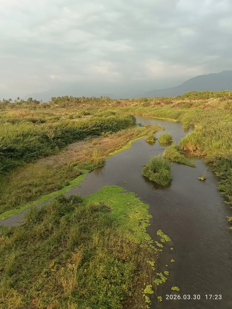 春水綠波上清山