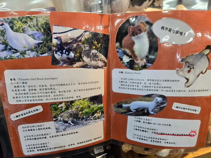 立山-雷鳥及雪貂介紹