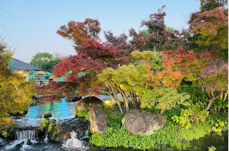 名花之里入口處即可見到的美景。