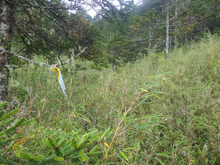 小胖池後看到的第一個路條，算是獎勵而已，不要太期待