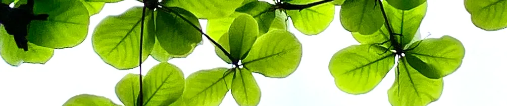 MRL-TCMstudy的沙龍