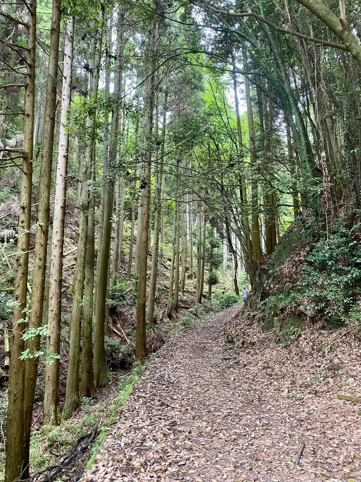 旁邊也有不少登山步道