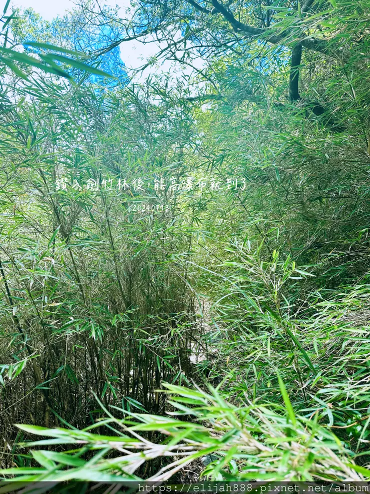 【奇萊南華2天1夜高繞版】能高越嶺道的能高瀑布(三疊瀑布)/