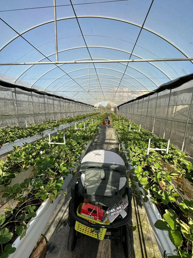 平日前來不擁擠，祐在輪椅上也可以參與。