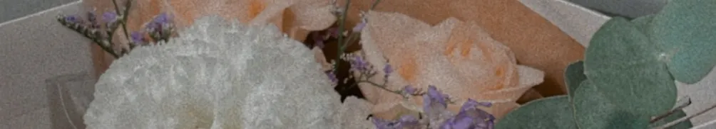 黛西DaiDai的沙龍