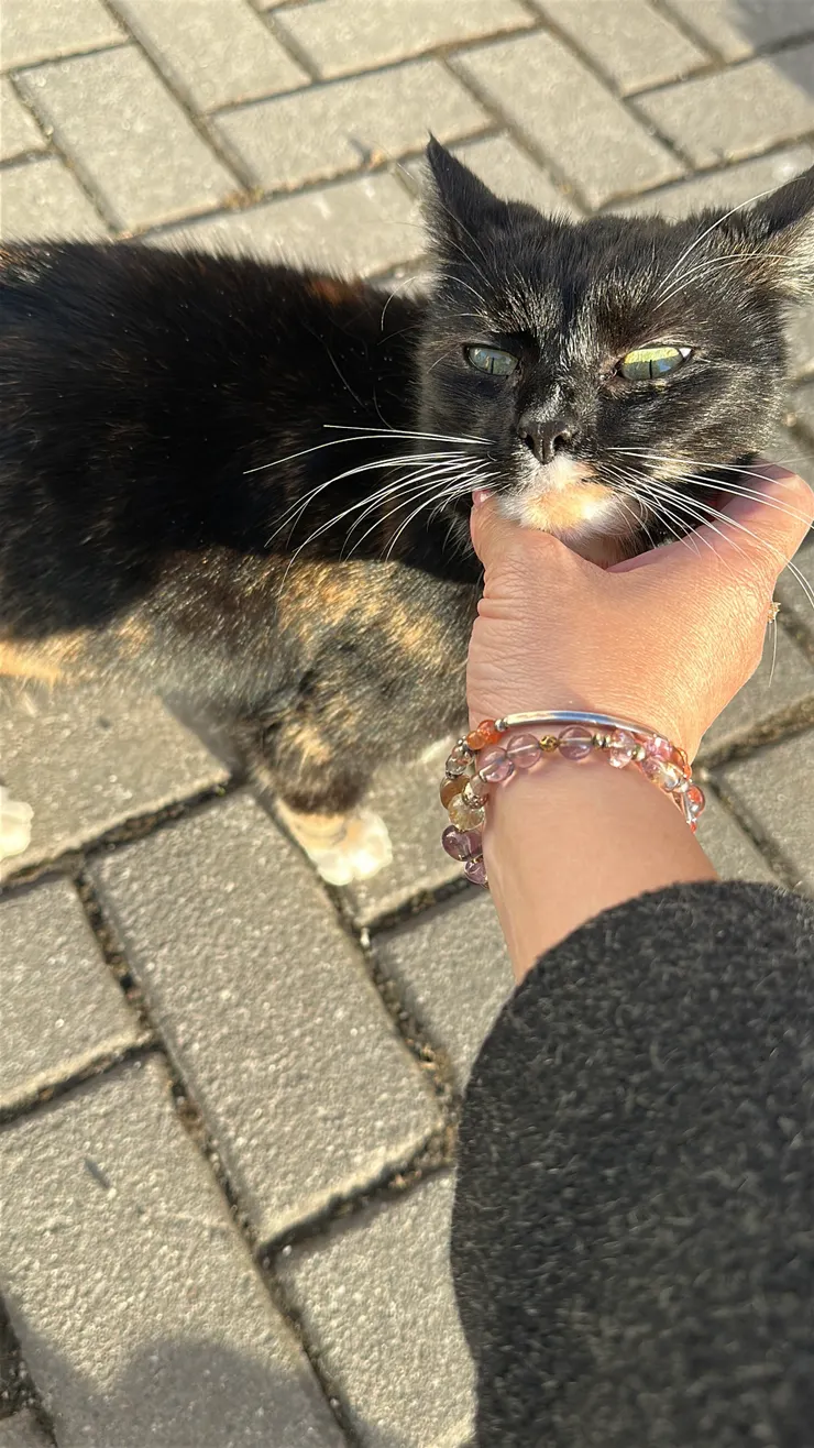 離開城堡，走回停車場時在路邊遇到的親人美咪