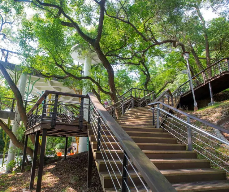 圖片來源：桃園觀光導覽網