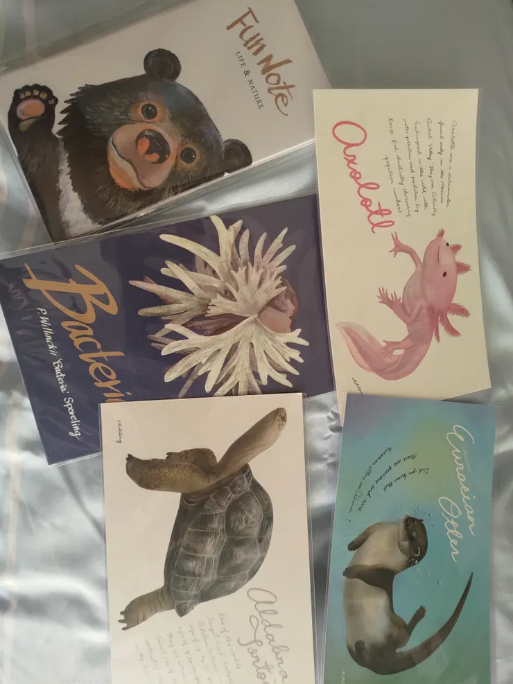 明信片和一本筆記本