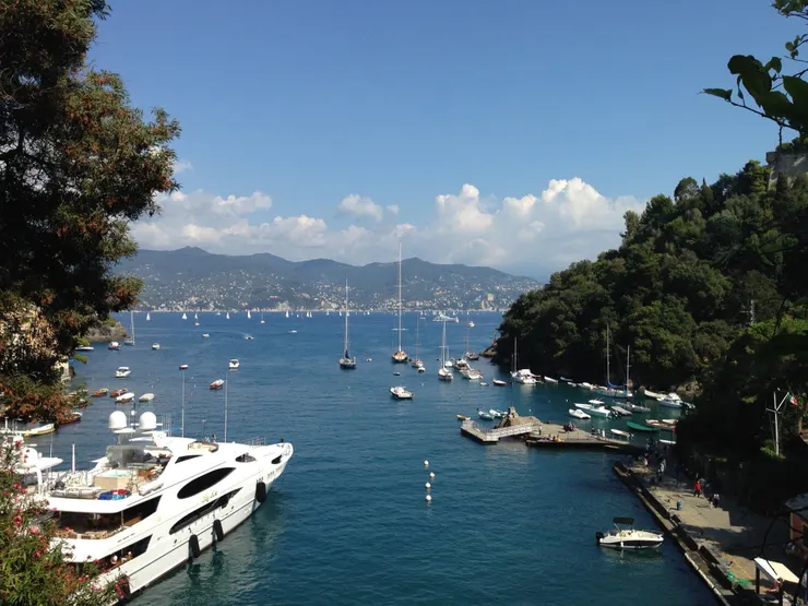 由上方看，大小船隻點綴整片海