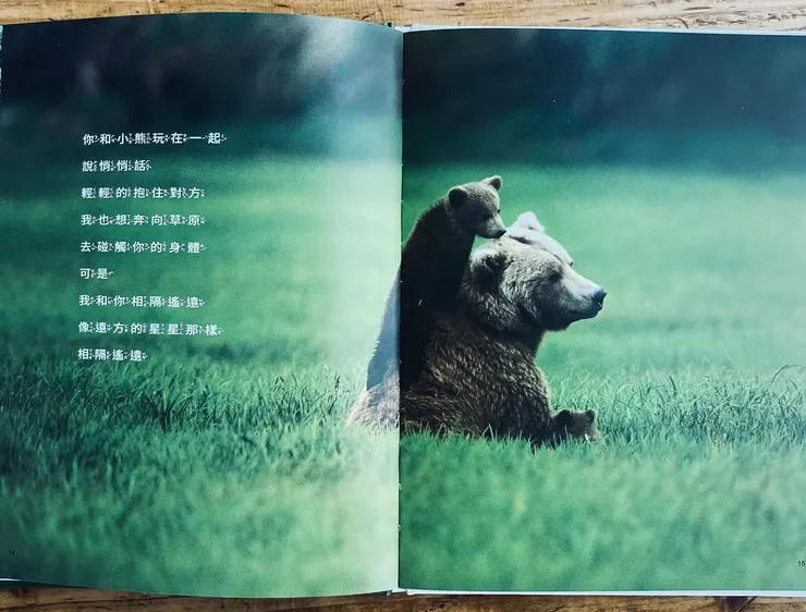 照片不似圖畫可以運用想像力將熊擬人化、可愛化