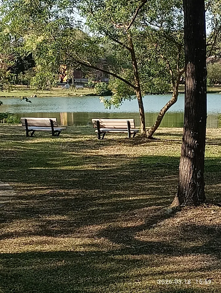 盡放春愁飛移影，皆自拍攝