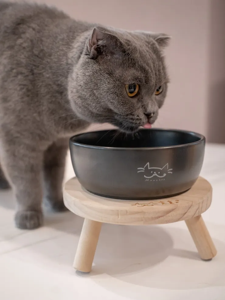 圖說：烏金菱碳能量陶瓷碗搭配手工木製碗架，不只讓貓咪變得愛喝水，碗架採用天然實木防刮耐用，生活儀式感滿滿。（資料來源：貪貪Munchee）
