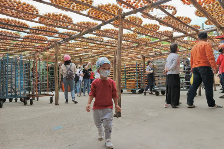 味衛家的曬柿庭院