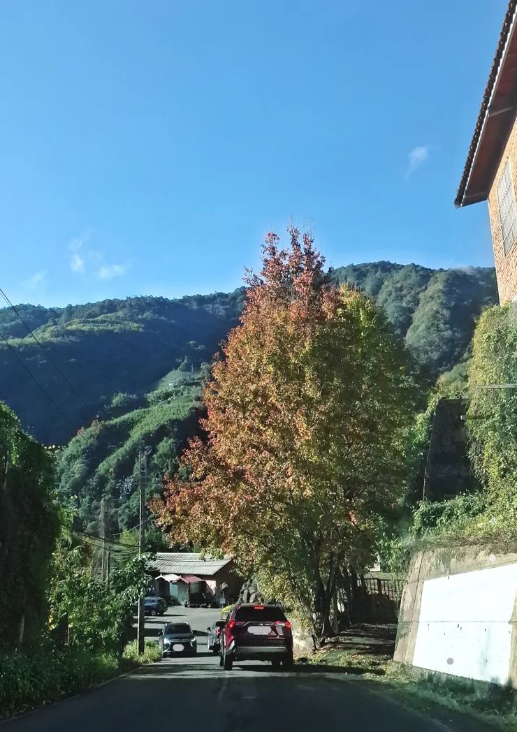 沿途的美景，都讓人忘記了兩小時車程的辛苦