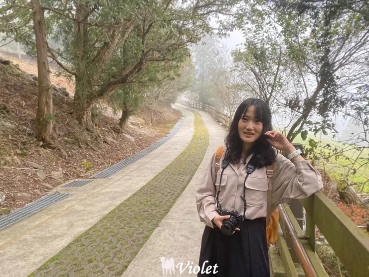 清境農場觀山牧區