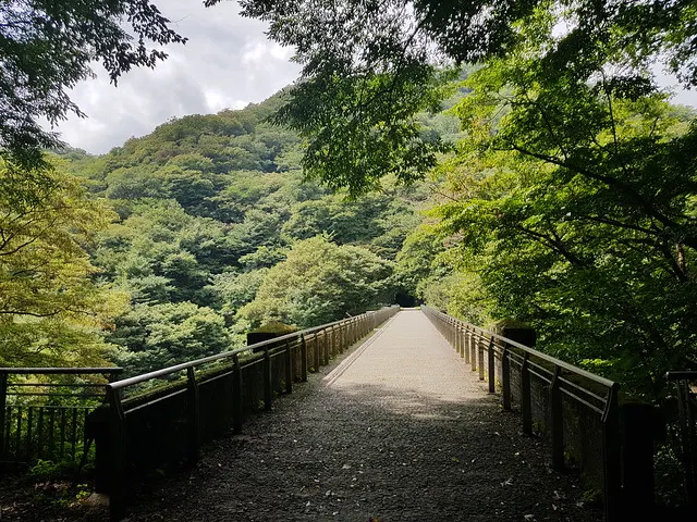 碓冰第三橋梁原鐵路路面