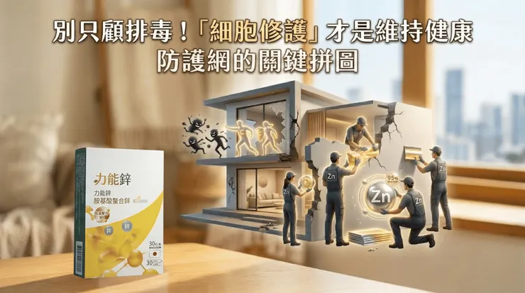 當身體處於壓力、疲勞或環境刺激下，體內其實不斷有細胞受損。微量礦物質「鋅」參與了細胞分裂、蛋白質合成與組織修復。它就像是建築工程中的材料來源，能幫助組織進行重建與更新，支持身體日常防護機制