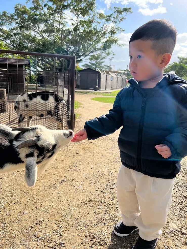 魯魯兒子宸宸在bios之丘餵小羊