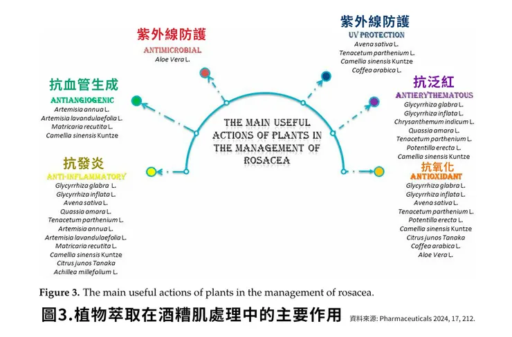 酒糟肌急救指南!
