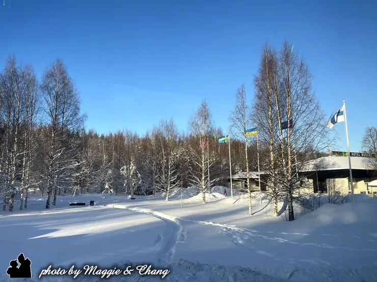 一片靜默中,銀白小徑彷彿通往傳說裡的森林深處。