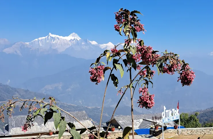 群峰下寧靜的小鎮...也是網路普及的世代...