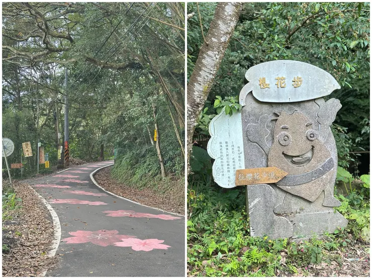 快到櫻花步道時，地上盡是櫻花圖案