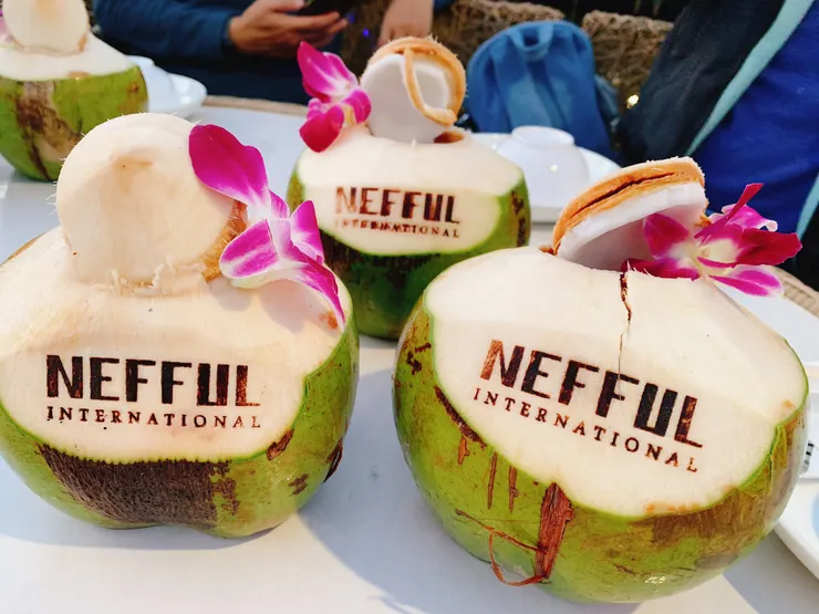 有刻字的椰子，被擔任多年導遊的負離子人驚呼不可思議！！！