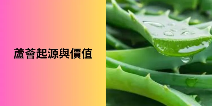 蘆薈起源與價值