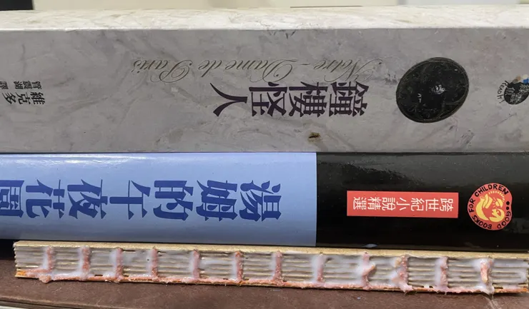 拿小說壓著（雨果不要打我）