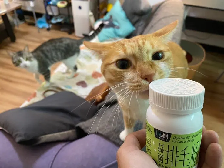 化毛膏有潤滑腸道幫助排毛的效果 一週可以加入1-2次在貓飼料裡面哦