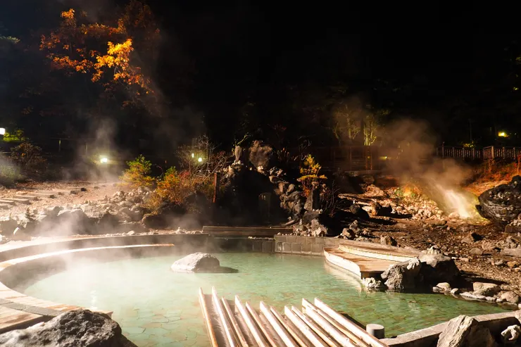 夜晚的公園會打燈，增添了些神秘的氛圍