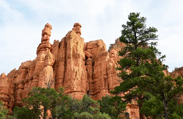 Red Canyon／紅峽谷