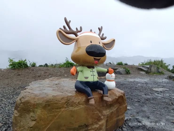 這個是今天拍攝的主角