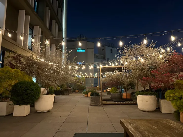 晚上的露台有風有燈