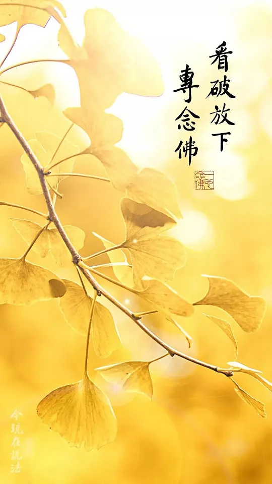 專心持念「阿彌陀佛」萬德洪名，期生淨土