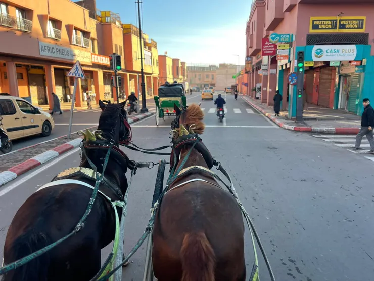 陽光照耀下紅色牆面特別亮眼