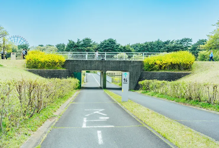 自行車專用道