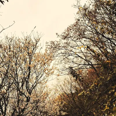 請恕我多說一句愛情。