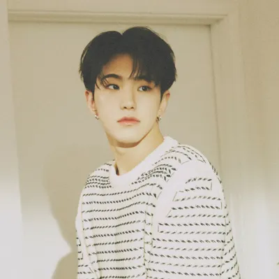 [yw_svt_carat] SVT文章