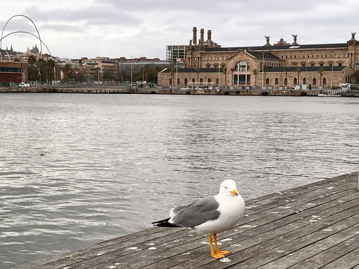 你在想什麼呢？
