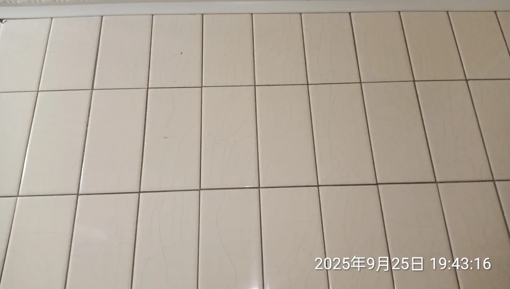 世人笑我太瘋癲的沙龍