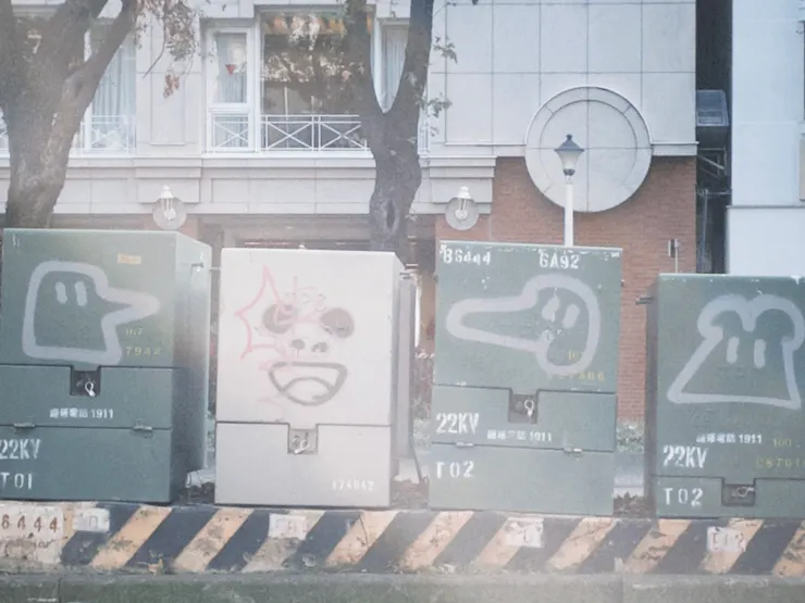 萬綠叢中一點灰，今天最期待的第六張灰