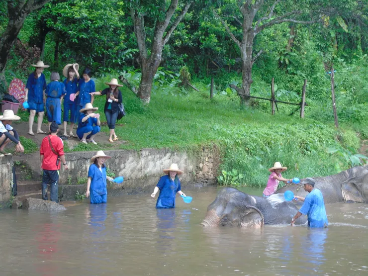 女王和卡蘿都超興奮的
