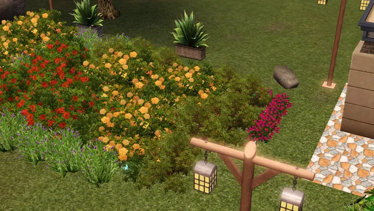 這個花圃是我自己鋪砌出來的。我很想公園有個很大的花圃，有很多花。