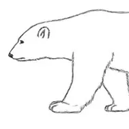 不住北極的北極熊的沙龍