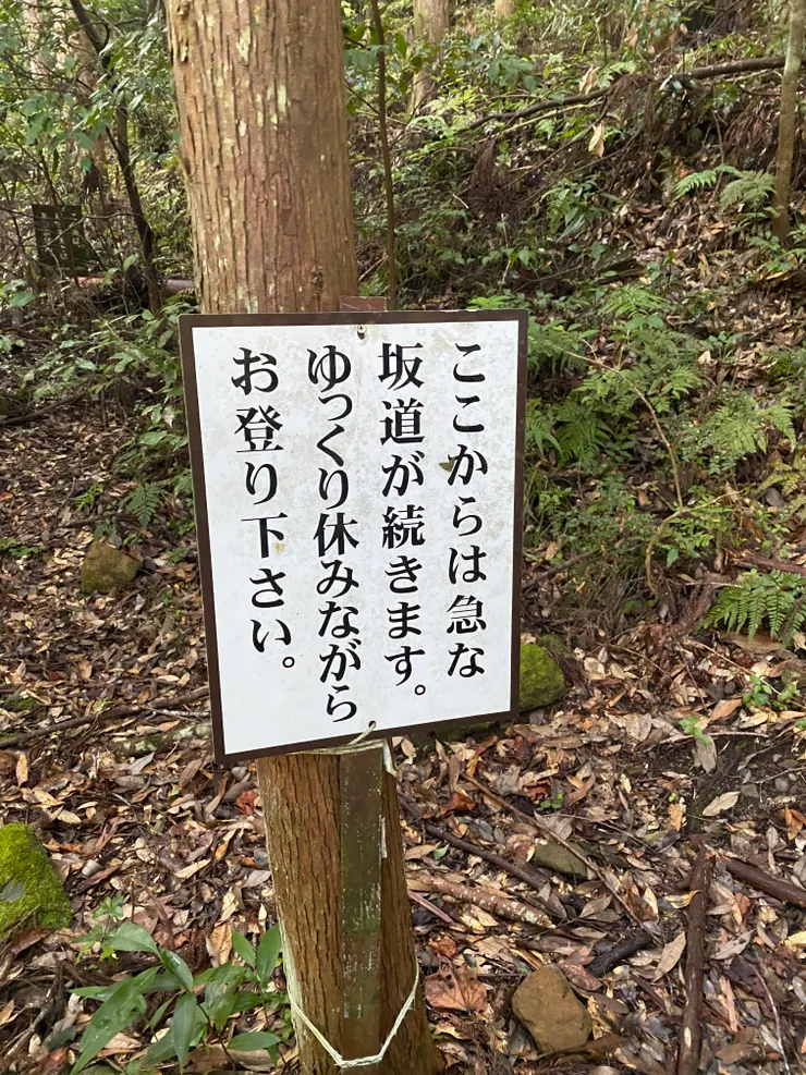 下來才看到入口處寫「由此開始坡道陡上，請邊休息邊爬緩步登道」