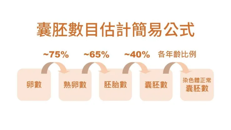 這邊提供給大家計算方式,如果有需要的話也可以先預估需要凍卵幾顆,一般醫生會建議16顆以上