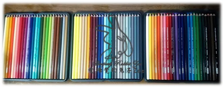 來源：自己拍攝