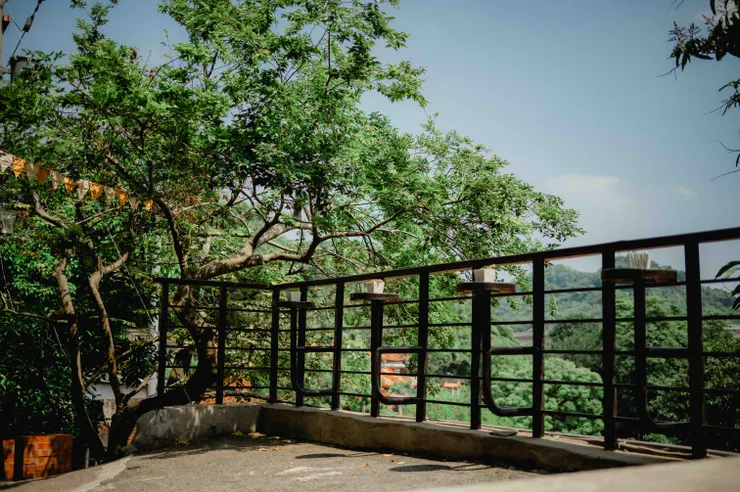 儘管肚子多次解鎖我的相機，我還是有好好拍照